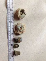 ImageUploadedByTreasureNet.com1450032014.730182.webp