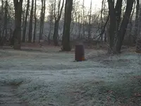 DSCF0003.webp
