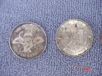 silver rounds 005.webp
