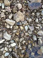 ImageUploadedByTreasureNet.com1451773912.473740.webp