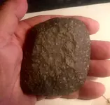 .50 celt hand.webp