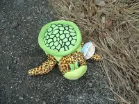DSCF0007.webp