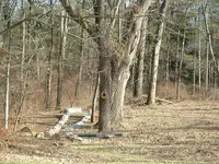DSCF0010.webp