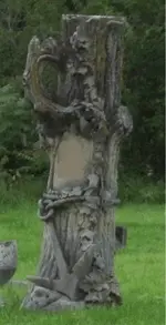 petrified oak stone anchor gunsight tree.webp petrified oak stone anchor gunsight tree.webp