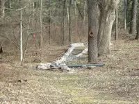 DSCF0012.webp