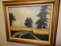 lands2.webp