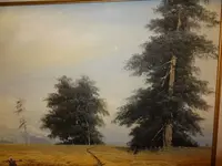 lands5.webp