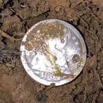 ImageUploadedByTreasureNet.com1451273230.192499.webp