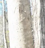 DSCN0567.webp
