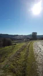 1451279120591.webp