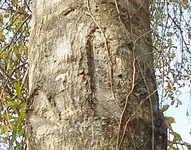 DSCN0660.webp