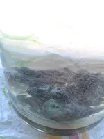CAM00590.webp