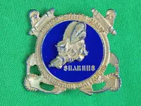 seabee pin pic.webp