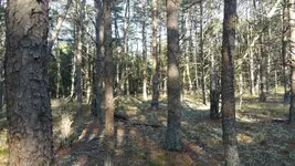 20151206_142131.webp