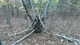 IMAG0452.webp IMAG0452.webp
