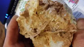 20151116_175237.webp