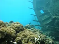 Shipwreck2.webp