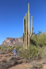 12185422_179117639100302_3707128554619627146_o.webp