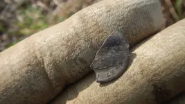DSCN1043.webp