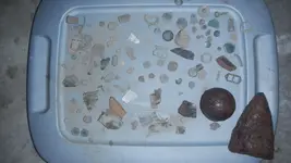 DSCN1051.webp