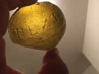 IMG_0237.webp
