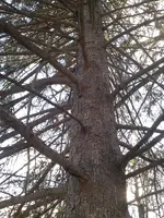 CAM01583.webp