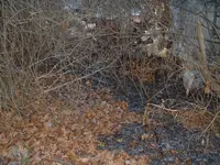 DSCF0002.webp