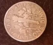First Silver Back.webp