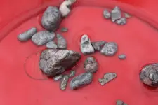 silver nuggets in gold pan 2.webp