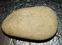 DSCN1335.webp