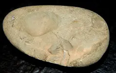DSCN1336.webp