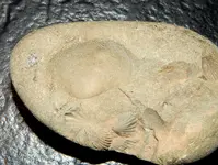 DSCN1337.webp
