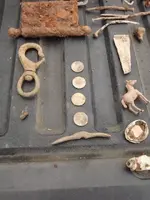 DSCF2142 (480x640).webp