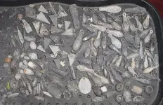 2015sinkers.webp