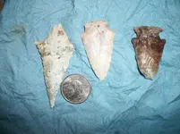 100_4124.webp