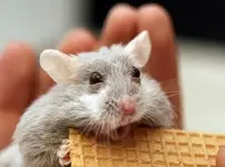 animals-surprised-9.webp