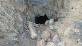 new mine.webp