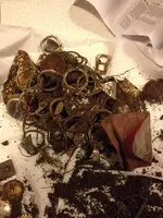 ImageUploadedByTreasureNet.com1450730672.366058.webp