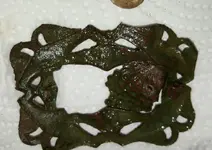 20151220_144901_edited.webp