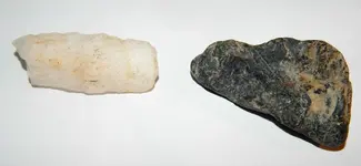 DSCN1338.webp