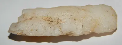 DSCN1340.webp
