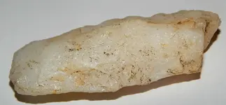 DSCN1341.webp