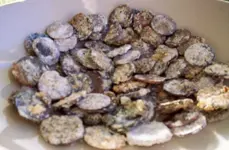 coin1.webp