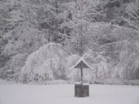 DSCF0319.webp