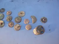DSCN0445.webp