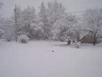 DSCF0318.webp