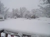 DSCF0317.webp