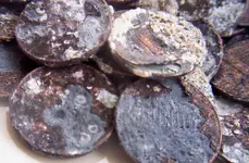 coin3.webp