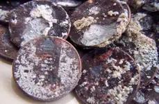 coin4.webp