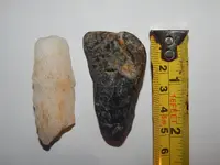 DSCN1348.webp